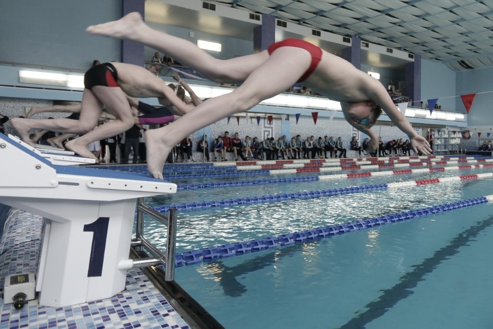 Соревнования по плаванию в бассейне «Барс» Соревнования по плаванию в бассейне «Барс»