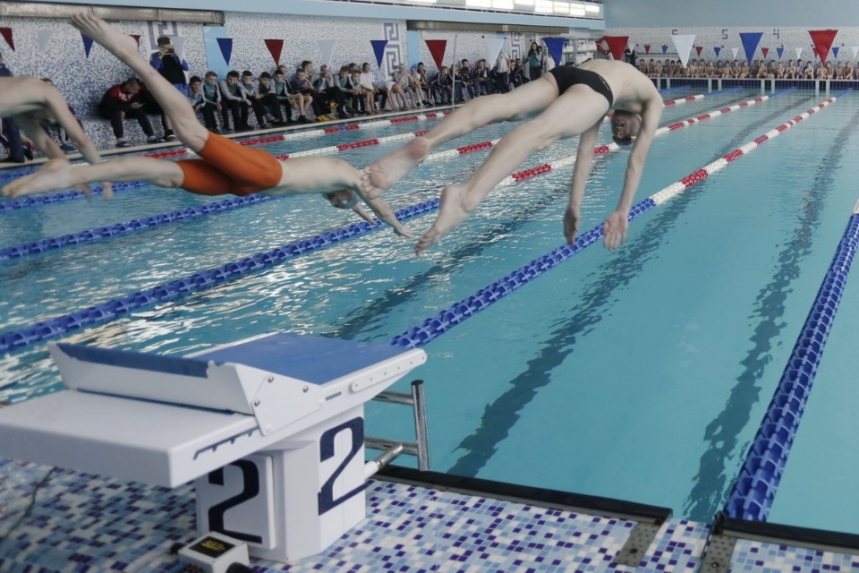 Соревнования по плаванию в бассейне «Барс» Соревнования по плаванию в бассейне «Барс»