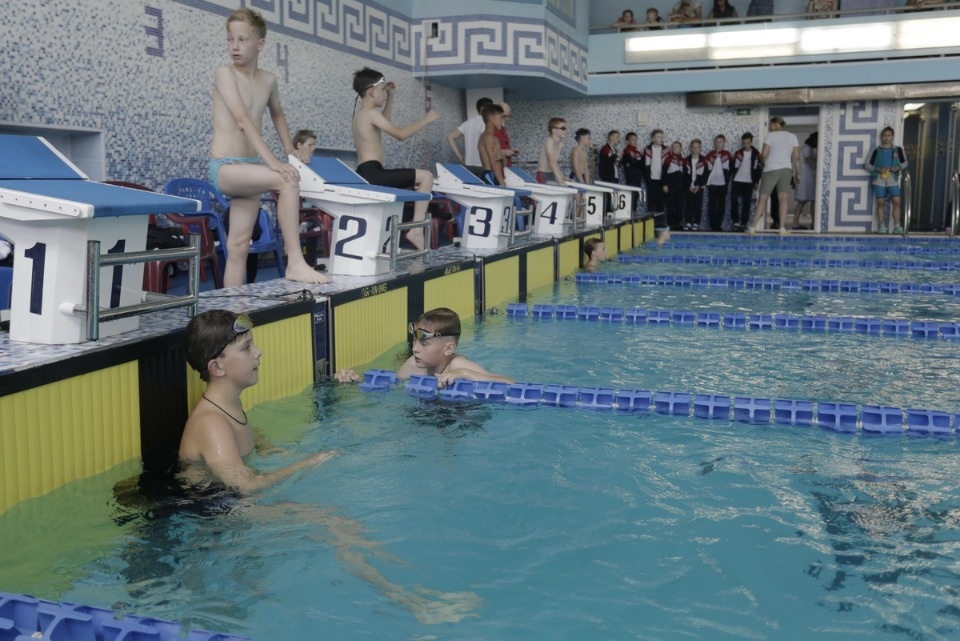 Соревнования по плаванию в бассейне «Барс» Соревнования по плаванию в бассейне «Барс»