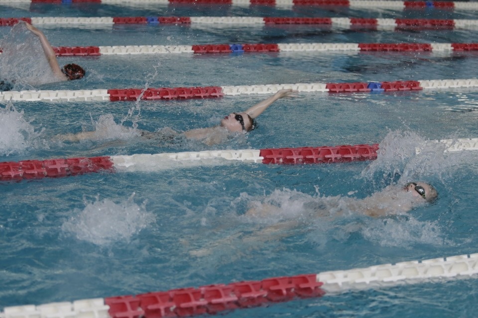 Соревнования по плаванию в бассейне «Барс» Соревнования по плаванию в бассейне «Барс»