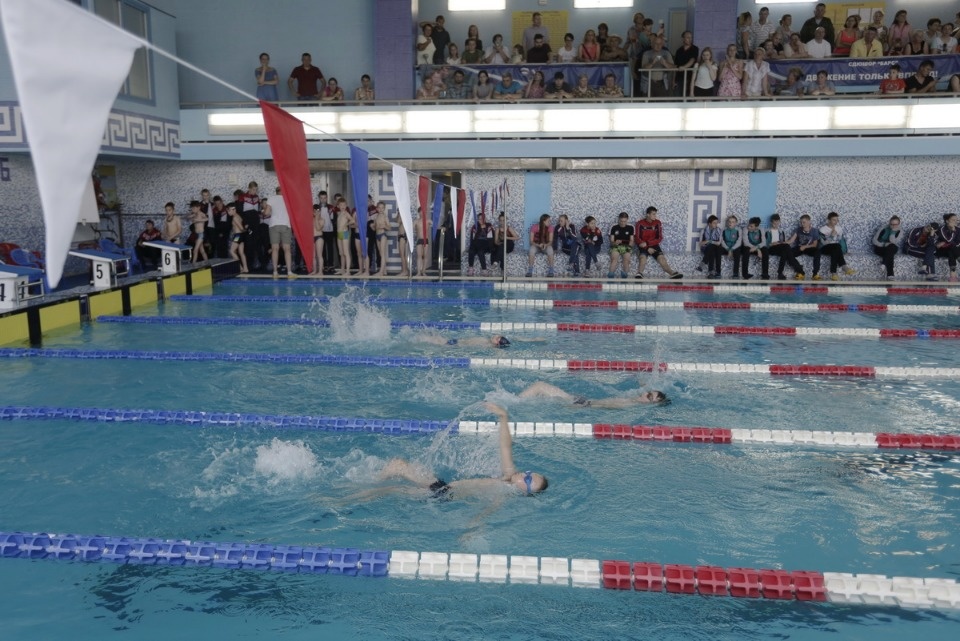 Соревнования по плаванию в бассейне «Барс» Соревнования по плаванию в бассейне «Барс»