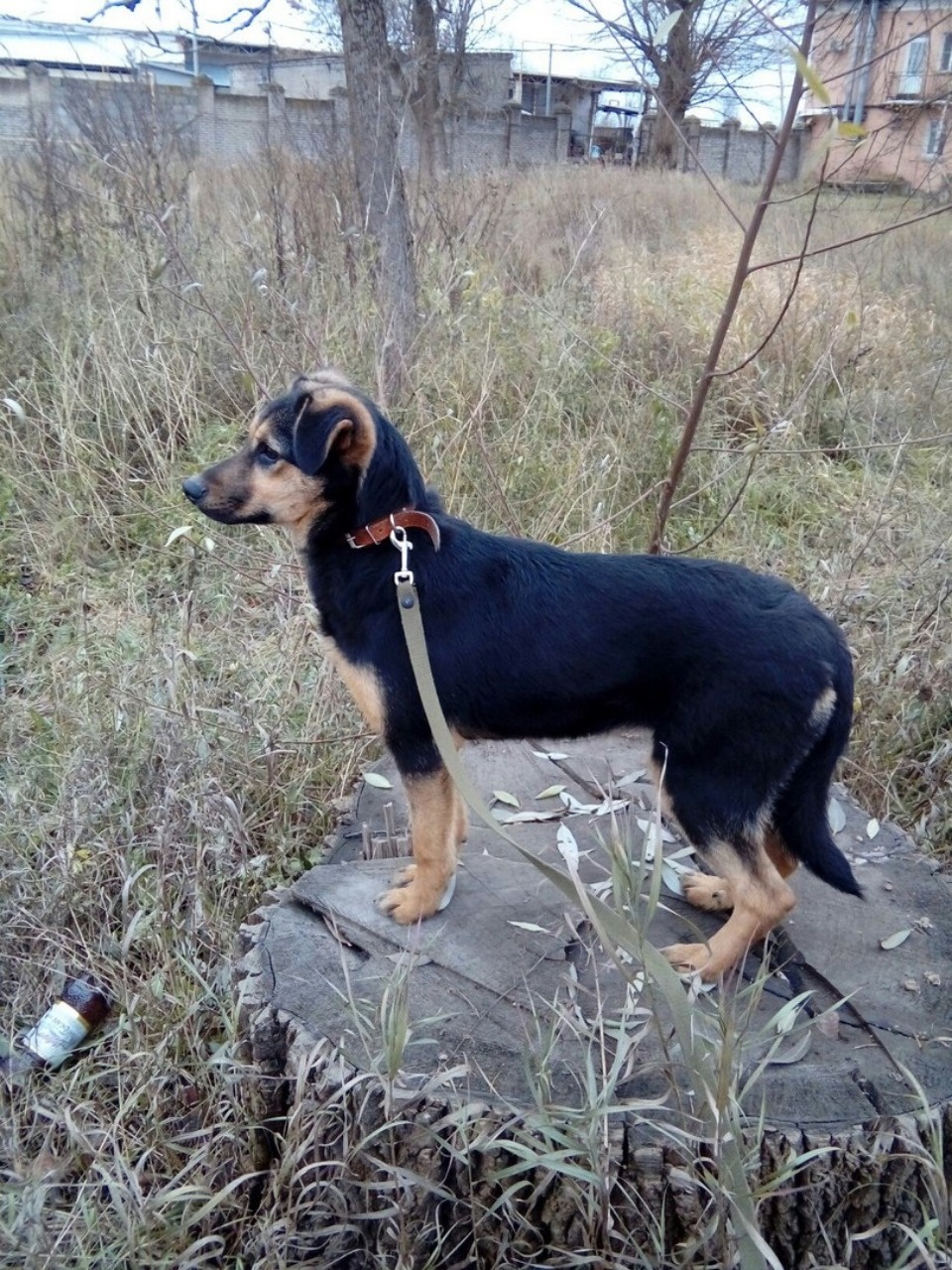 Если хозяина нет