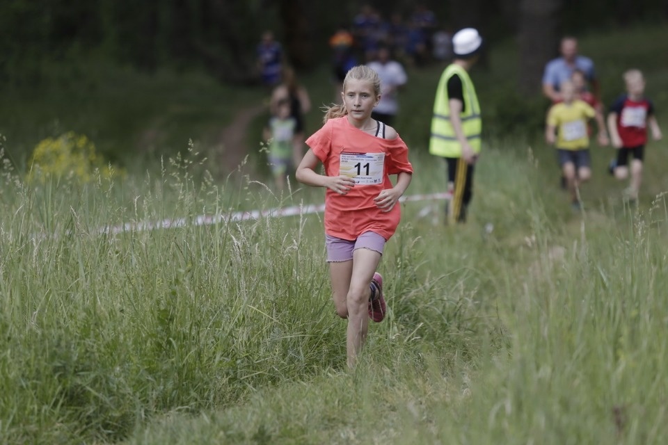 Соревнования по бегу «PRO SPORT: Кубок губернатора — 2018» Соревнования по бегу «PRO SPORT: Кубок губернатора — 2018»