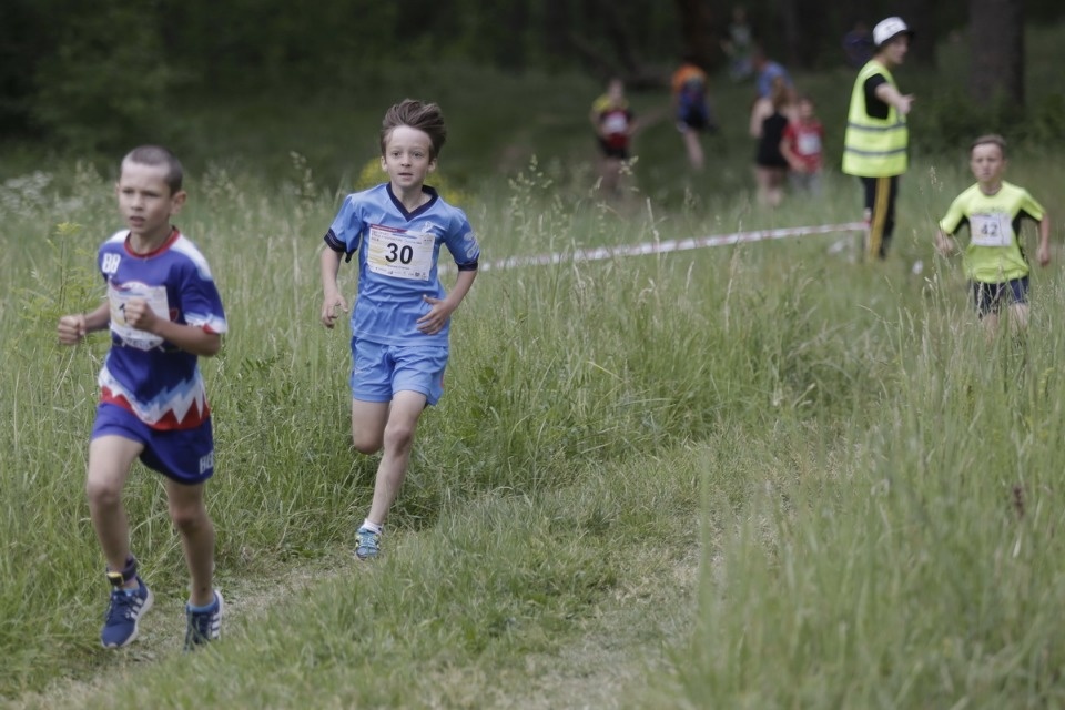 Соревнования по бегу «PRO SPORT: Кубок губернатора — 2018» Соревнования по бегу «PRO SPORT: Кубок губернатора — 2018»