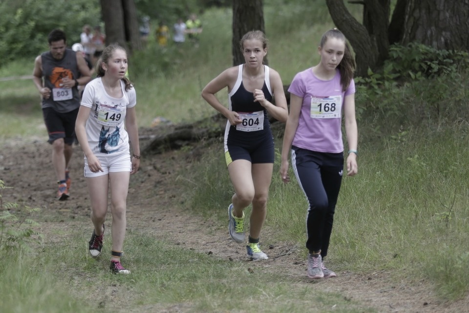 Соревнования по бегу «PRO SPORT: Кубок губернатора — 2018» Соревнования по бегу «PRO SPORT: Кубок губернатора — 2018»