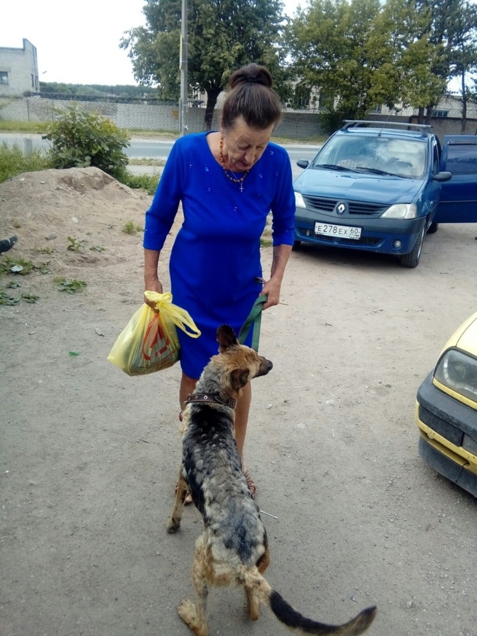 Заново родившиеся