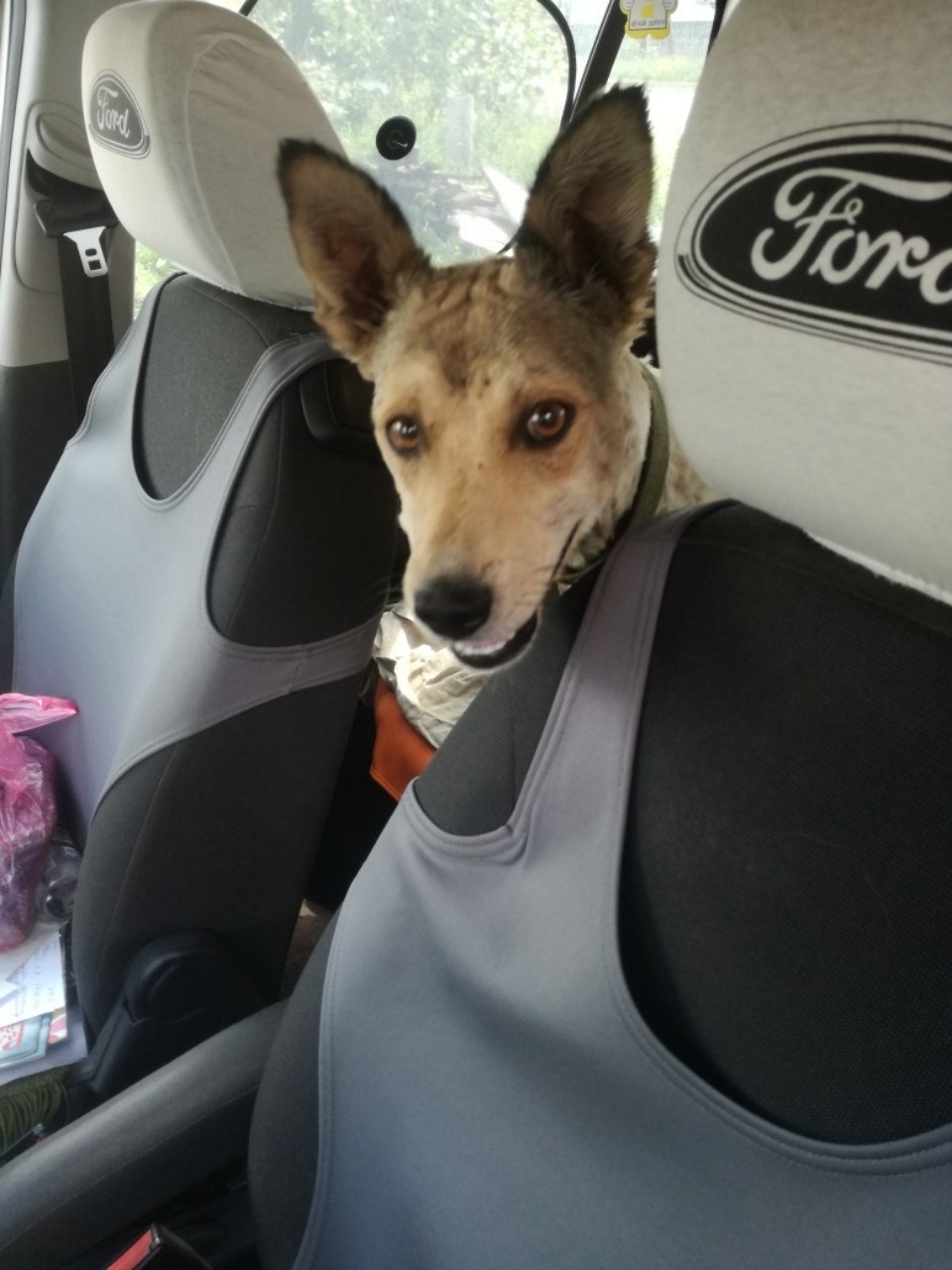 Заново родившиеся