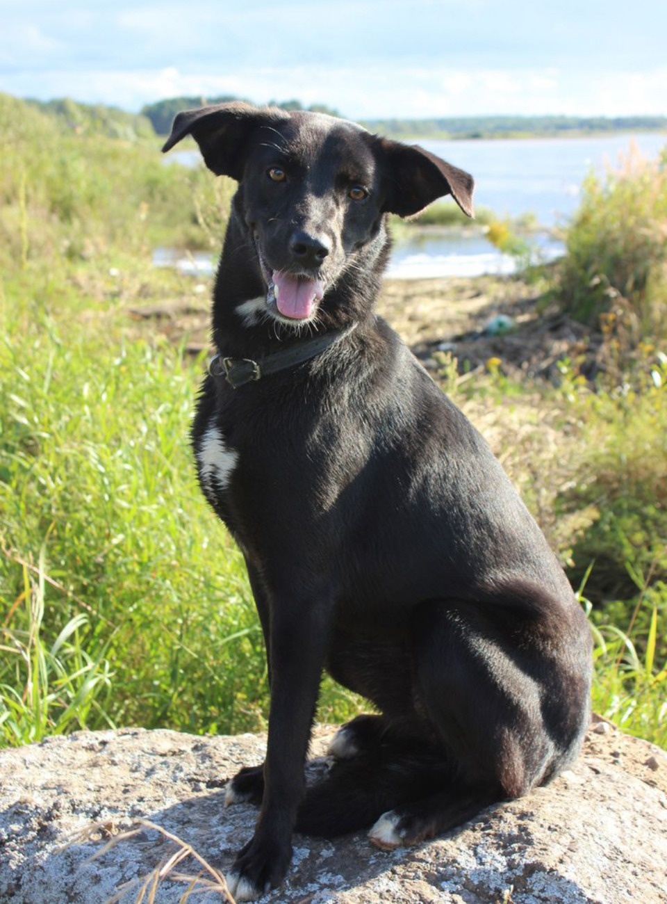 Если хозяина нет