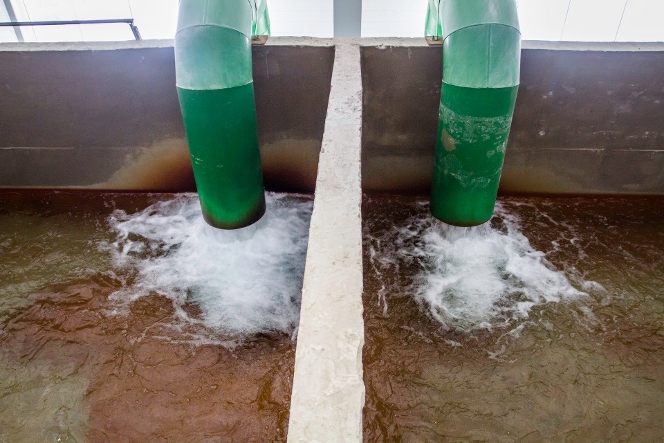 Три заветные буквы