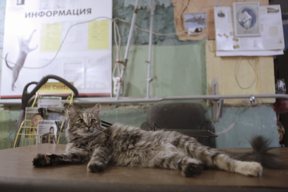 Управдом Владимир Владимирович