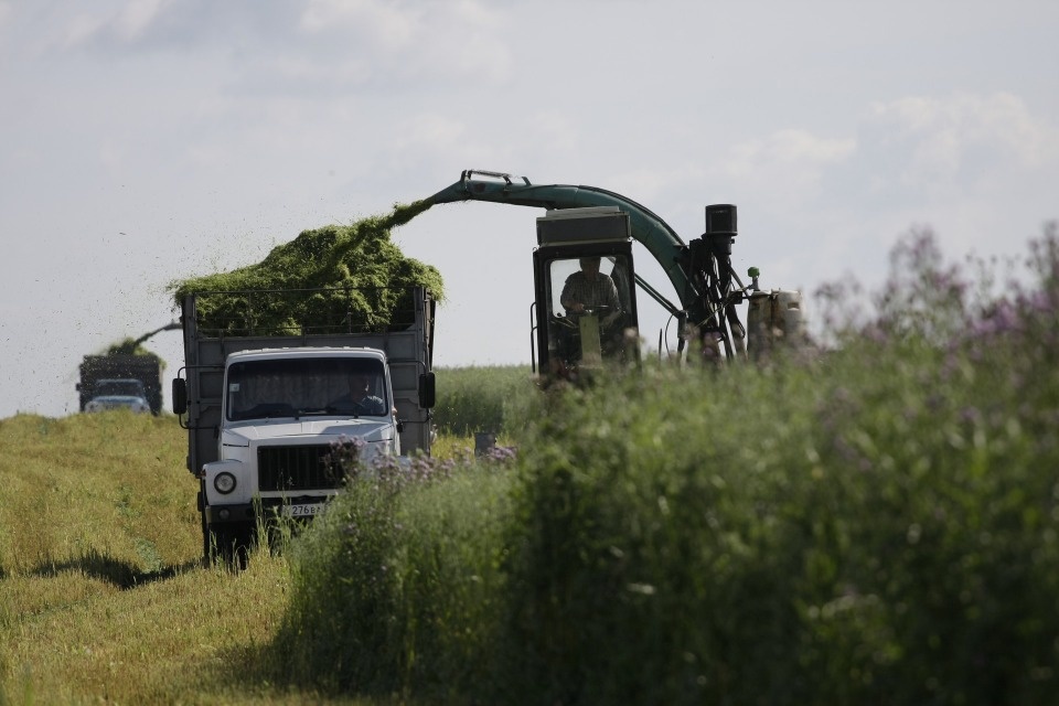 Хозяйственный подход