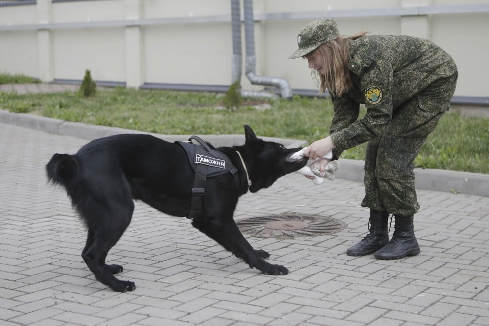 Иностранец на службе
