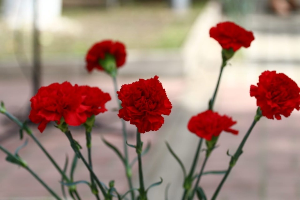 Митинг, посвященный 74-й годовщине освобождения Пушгор от немецко-фашистских захватчиков Митинг, посвященный 74-й годовщине освобождения Пушгор от немецко-фашистских захватчиков