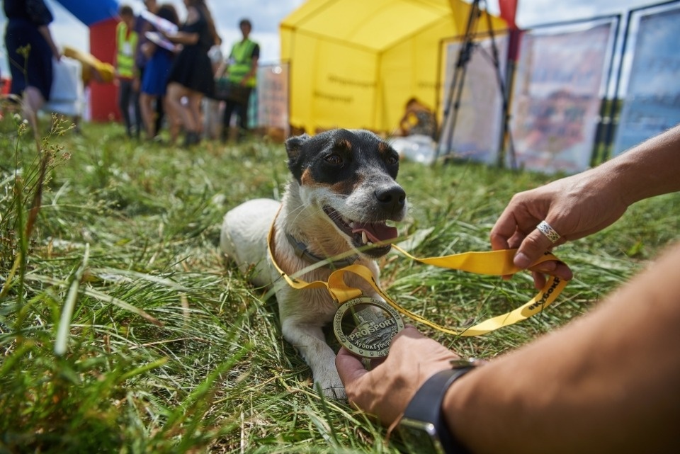 «PRO SPORT: Кубок губернатора – 2018» в Изборске «PRO SPORT: Кубок губернатора – 2018» в Изборске