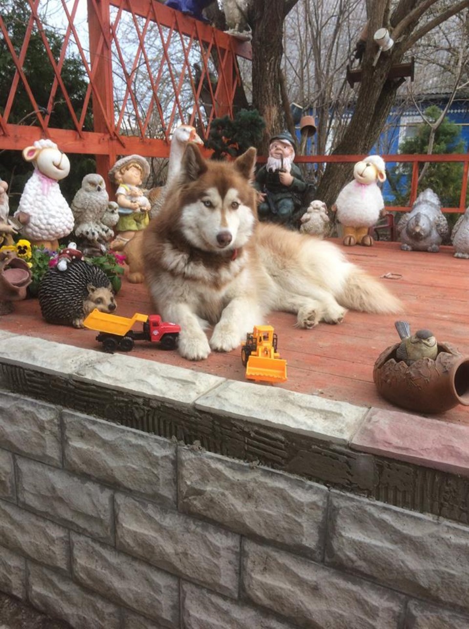 Кто следующий?