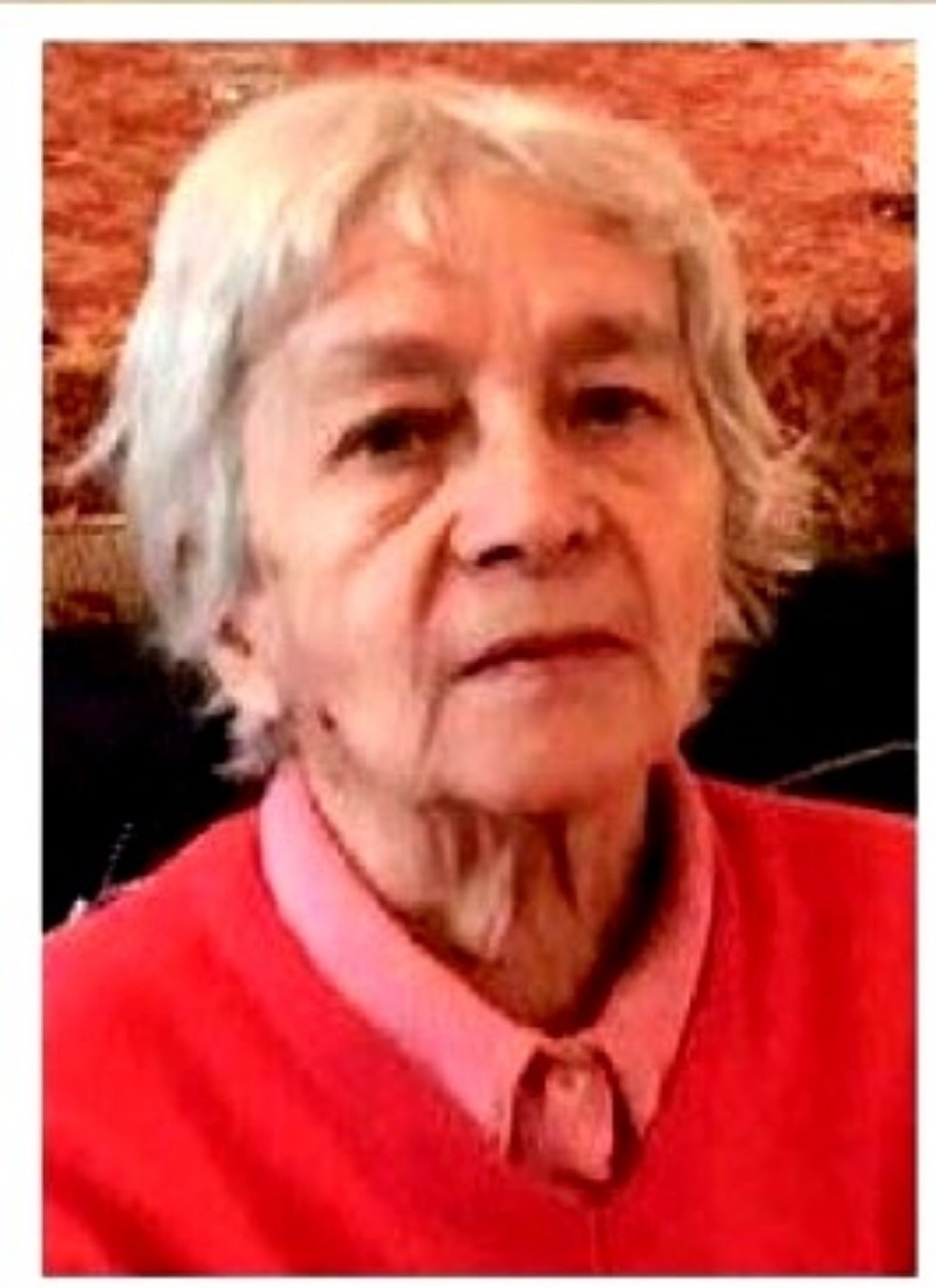 В Пушкинских Горах до сих пор ищут пропавшую Татьяну Калинину (ФОТО) В Пушкинских Горах до сих пор ищут пропавшую Татьяну Калинину (ФОТО)