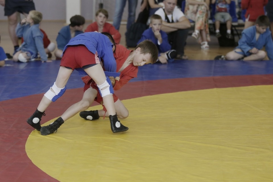 Открытие фестиваля единоборств «Земля великих побед» Открытие фестиваля единоборств «Земля великих побед»