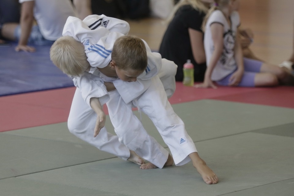 Открытие фестиваля единоборств «Земля великих побед» Открытие фестиваля единоборств «Земля великих побед»