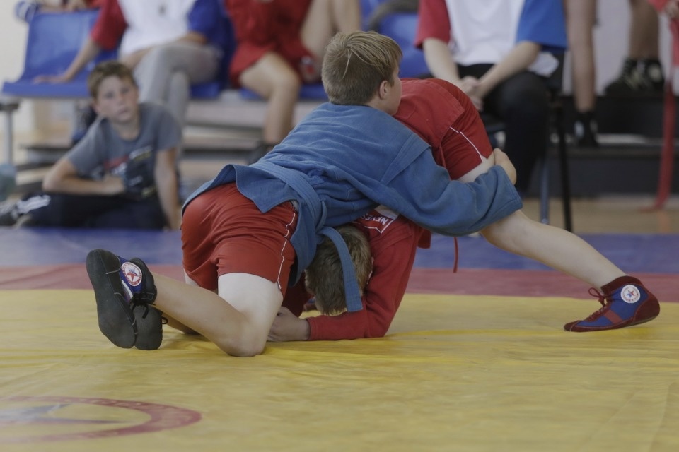 Открытие фестиваля единоборств «Земля великих побед» Открытие фестиваля единоборств «Земля великих побед»