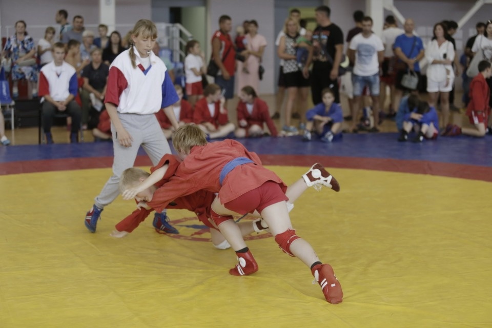 Открытие фестиваля единоборств «Земля великих побед» Открытие фестиваля единоборств «Земля великих побед»