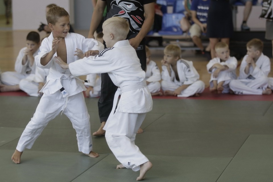 Открытие фестиваля единоборств «Земля великих побед» Открытие фестиваля единоборств «Земля великих побед»