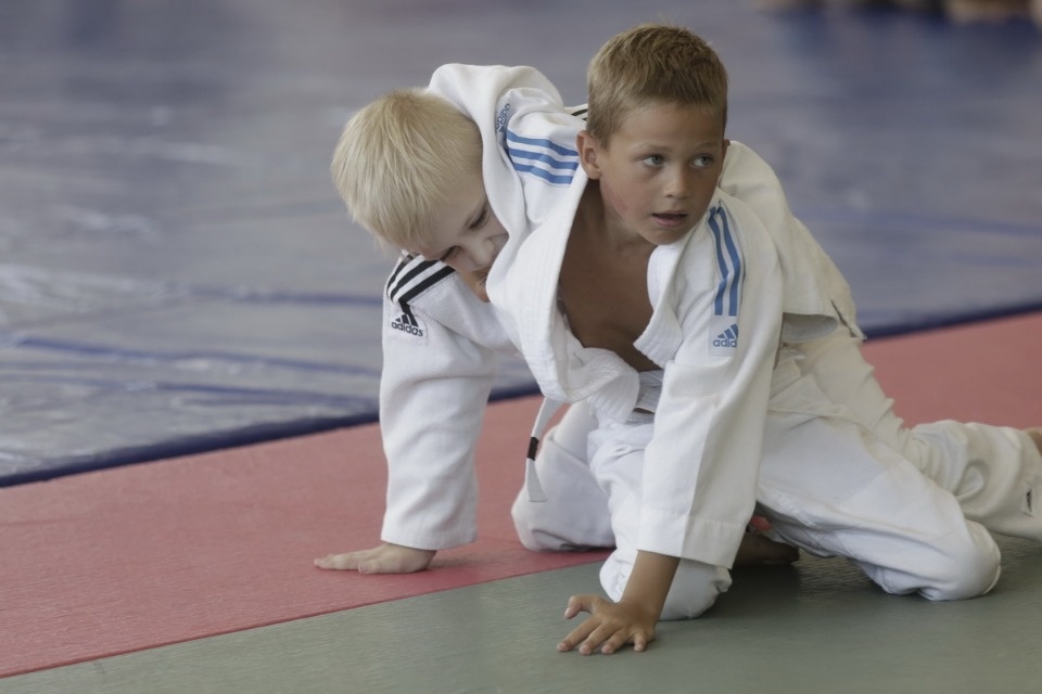 Открытие фестиваля единоборств «Земля великих побед» Открытие фестиваля единоборств «Земля великих побед»