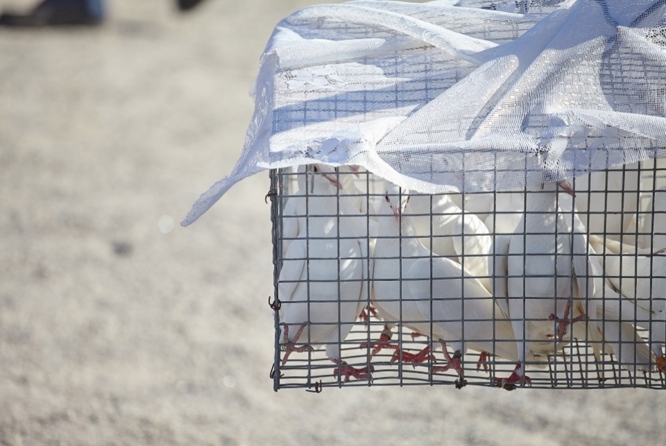 Церемония закрытия Международных армейских игр на полигоне «Завеличье»