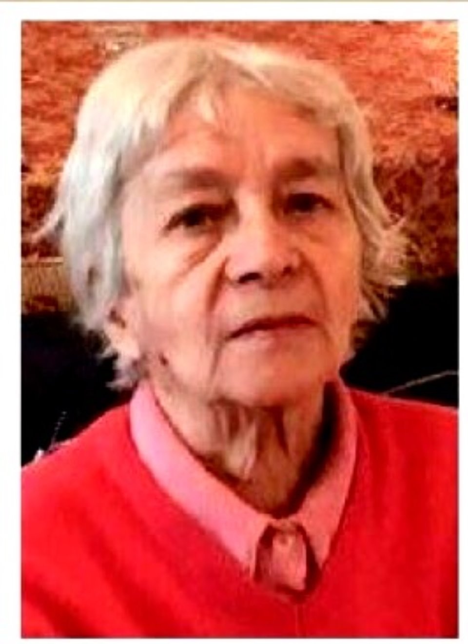 В Пушгорах разыскивают женщину, пропавшую с базы отдыха