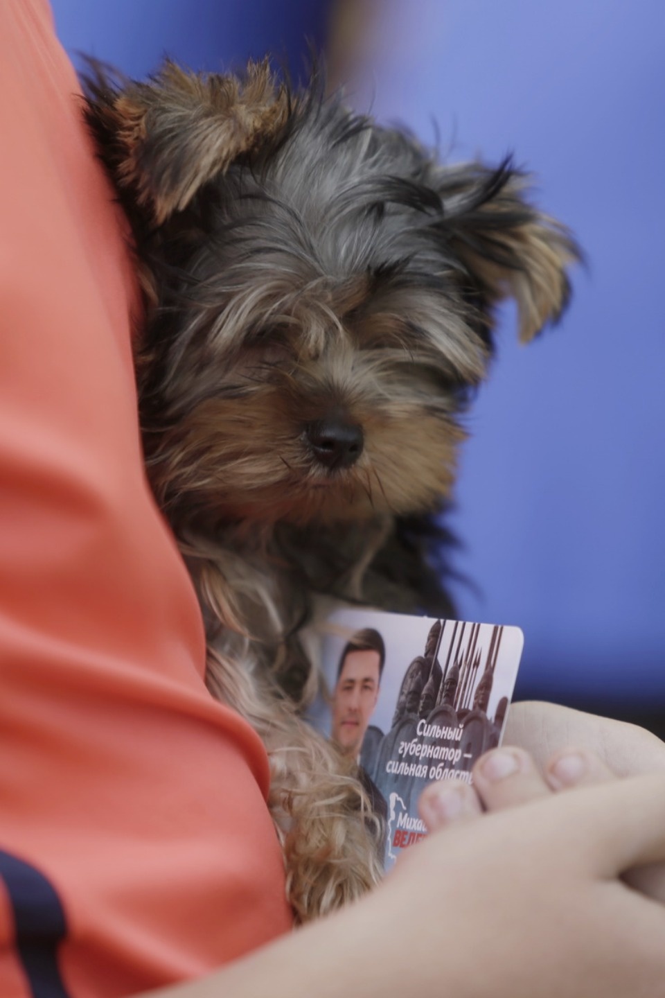 IV этап соревнований по бегу «PRO SPORT: Кубок губернатора 2018» IV этап соревнований по бегу «PRO SPORT: Кубок губернатора 2018»