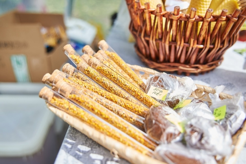 «Медовый фестиваль – 2018» в Пскове «Медовый фестиваль – 2018» в Пскове