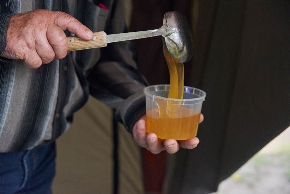 «Медовый фестиваль – 2018» в Пскове «Медовый фестиваль – 2018» в Пскове