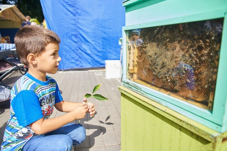 «Медовый фестиваль – 2018» в Пскове «Медовый фестиваль – 2018» в Пскове