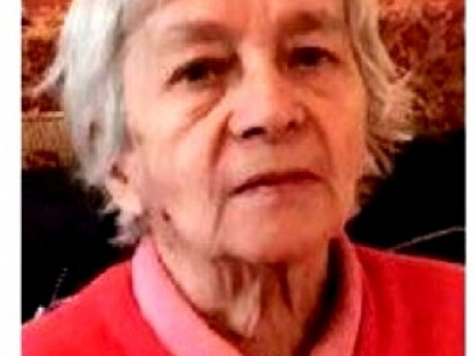 Продолжается розыск пропавшей в Пушкинских Горах женщины