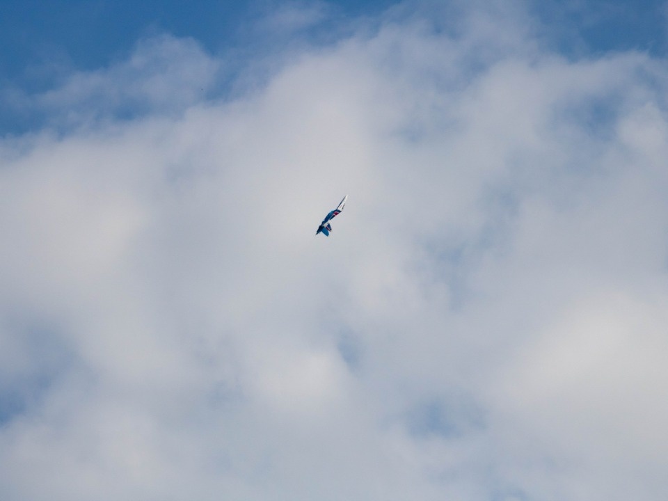 «Русские Витязи» покорили Псков