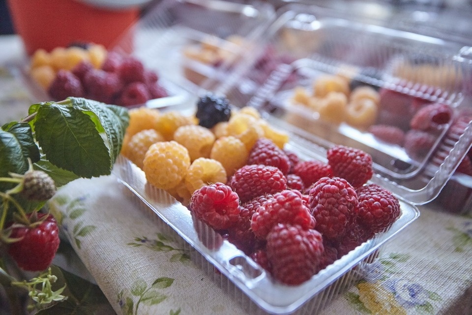 Седьмой региональный смотр-конкурс «Ветеранское подворье-2018»