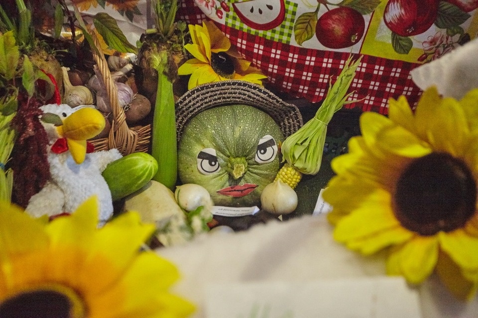 Седьмой региональный смотр-конкурс «Ветеранское подворье-2018»