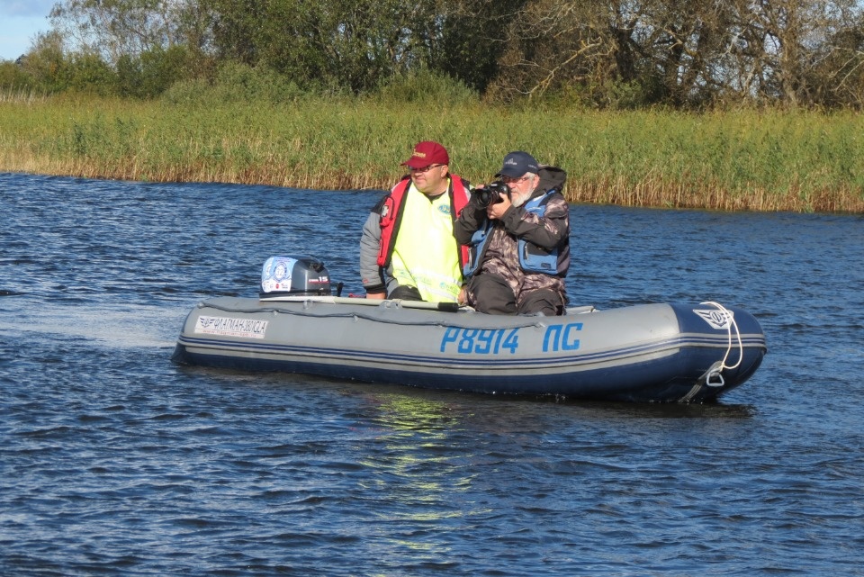 Моя идеальная рыболовная сеть