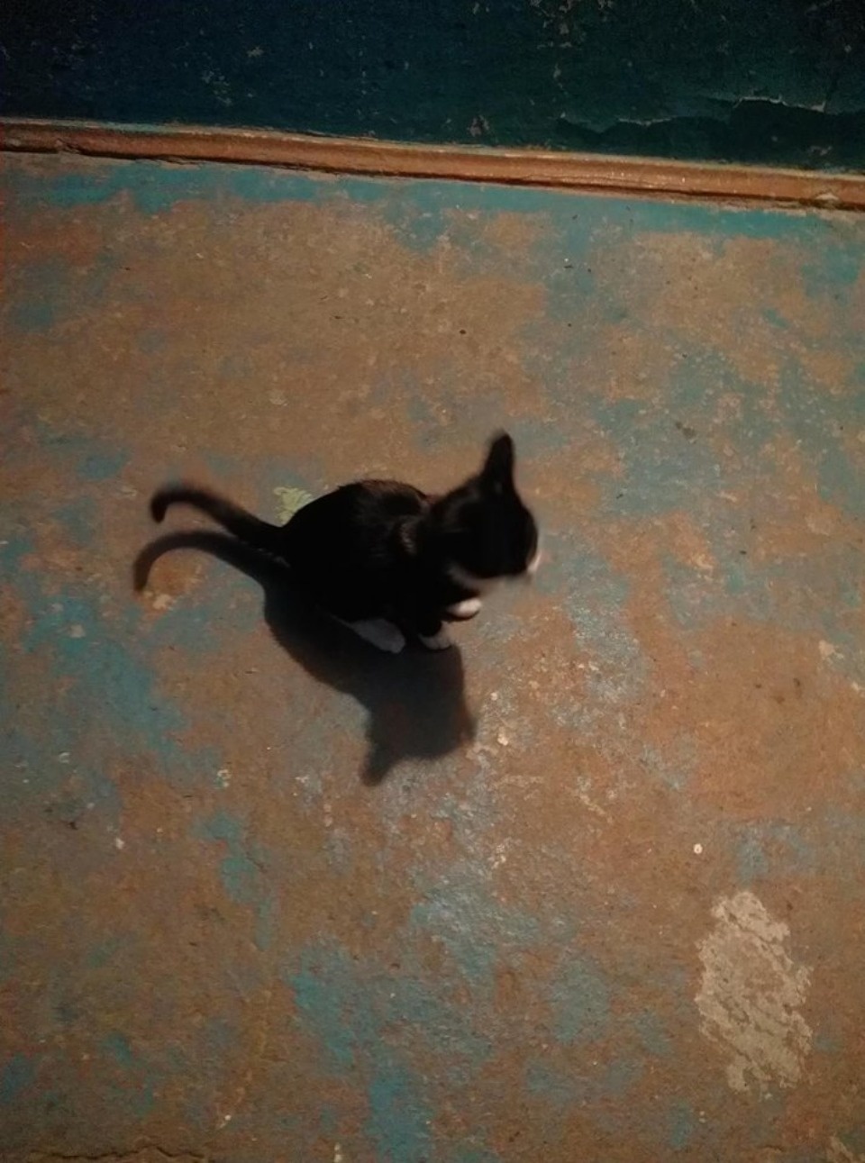 Тут вам не санаторий