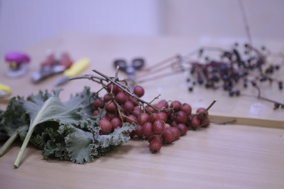 Профессионалы «Абилимпикса» в Пскове