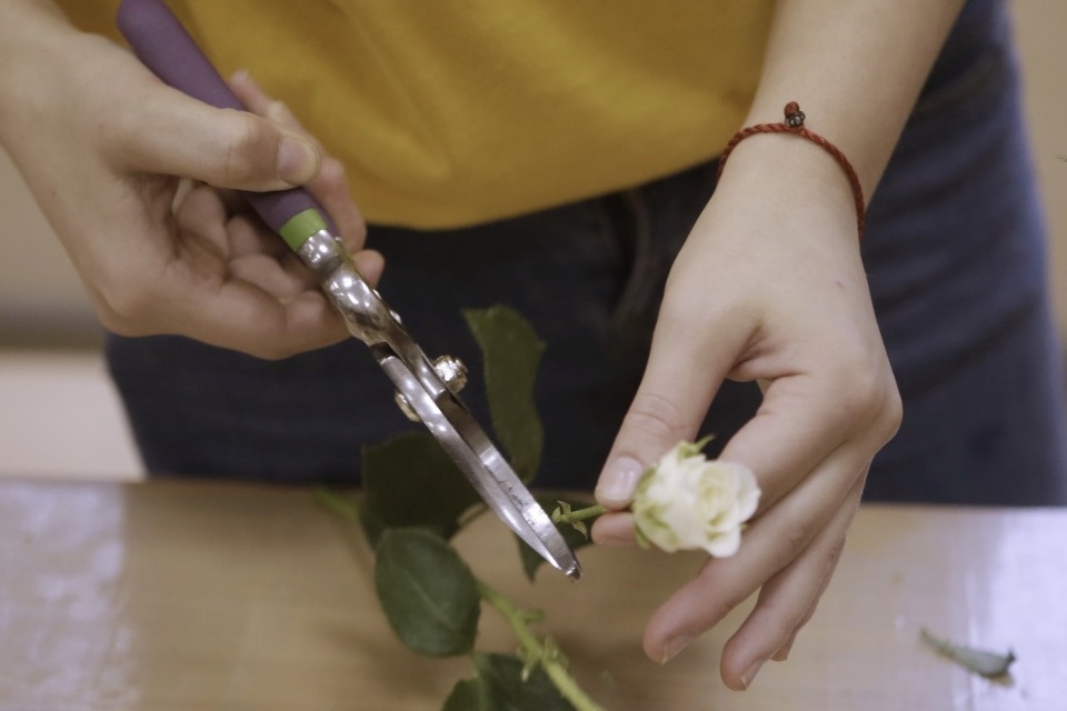 Профессионалы «Абилимпикса» в Пскове