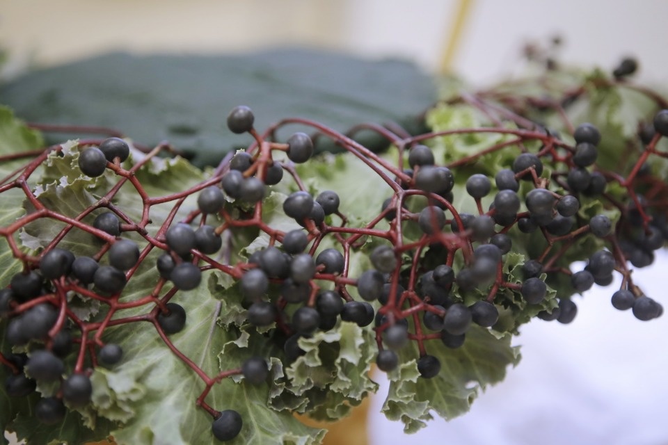 Профессионалы «Абилимпикса» в Пскове