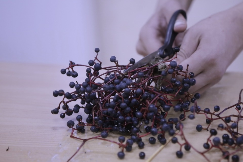 Профессионалы «Абилимпикса» в Пскове