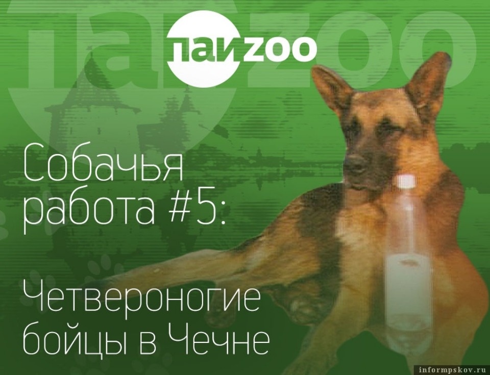 Журналист ПАИ Ульяна Ловыгина номинирована на премию «СеЗаМ – 2018» в номинации «За лучшую публикацию»