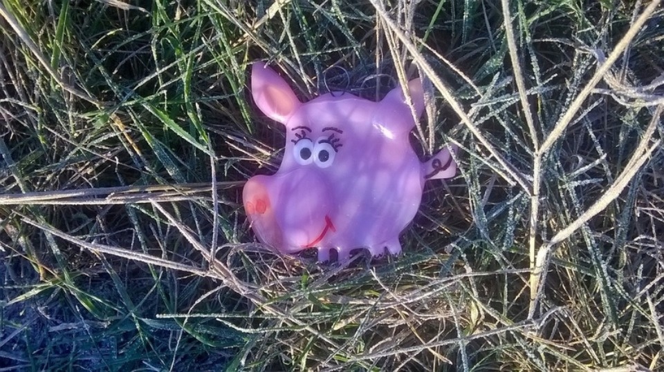 Тамара Васильева: Ваша идея, мое воплощение