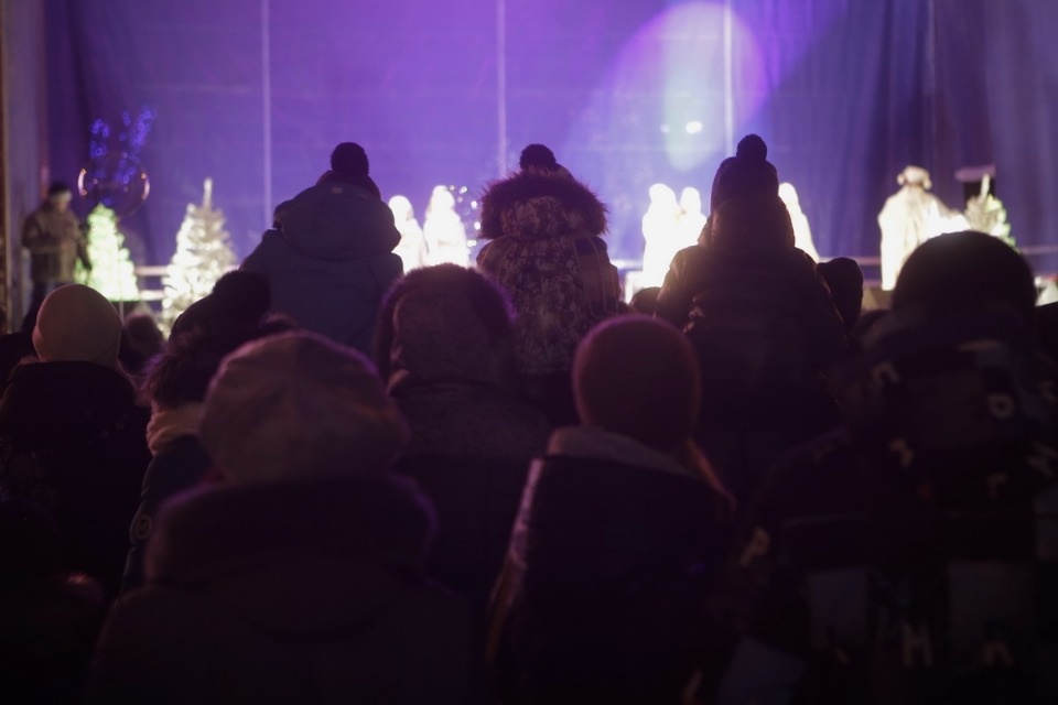 На главной городской ёлке Пскова зажгли огни