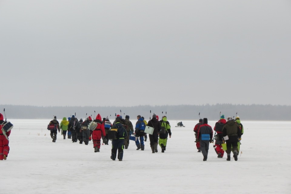 Свои чемпионы
