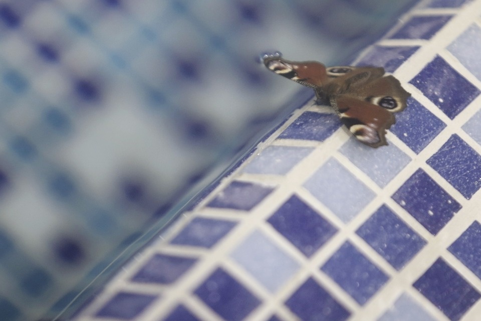 Для спорта и отдыха