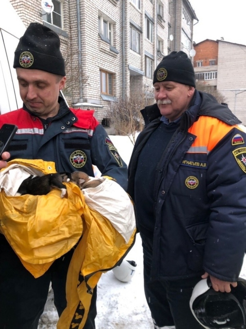 Из-под сгоревшего дома в Пскове спасатели вытащили пятерых новорождённых щенков