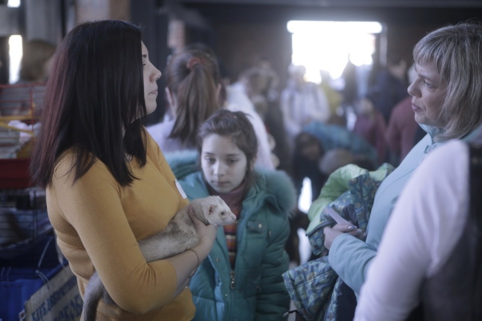 Выставка бездомных кошек и собак «Хвостатый Фест»