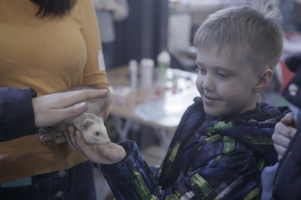 Выставка бездомных кошек и собак «Хвостатый Фест»